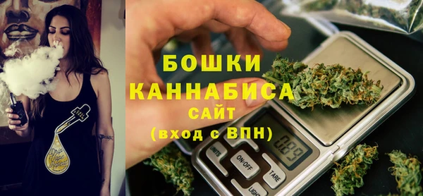 ГАЛЛЮЦИНОГЕННЫЕ ГРИБЫ Медногорск