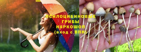 МДМА Медвежьегорск