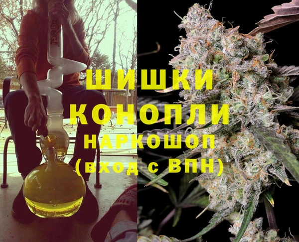 ГАЛЛЮЦИНОГЕННЫЕ ГРИБЫ Медногорск