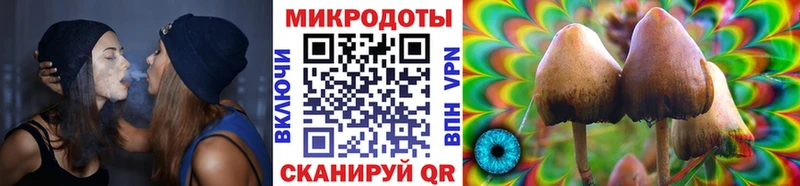 Купить закладки  Чистополь  Псилоцибиновые грибы GOLDEN TEACHER